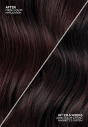 Color Extend Magnetics Holiday Gift Set