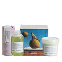 Momo Holiday Gift Set